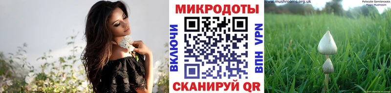 Галлюциногенные грибы мицелий  Северо-Курильск 